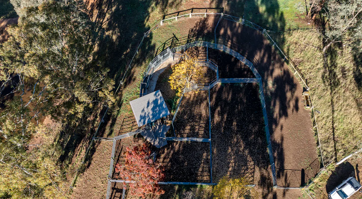 'The Grove' 635 Grove Creek Road, Trunkey Creek, NSW, 2795 - Image 8