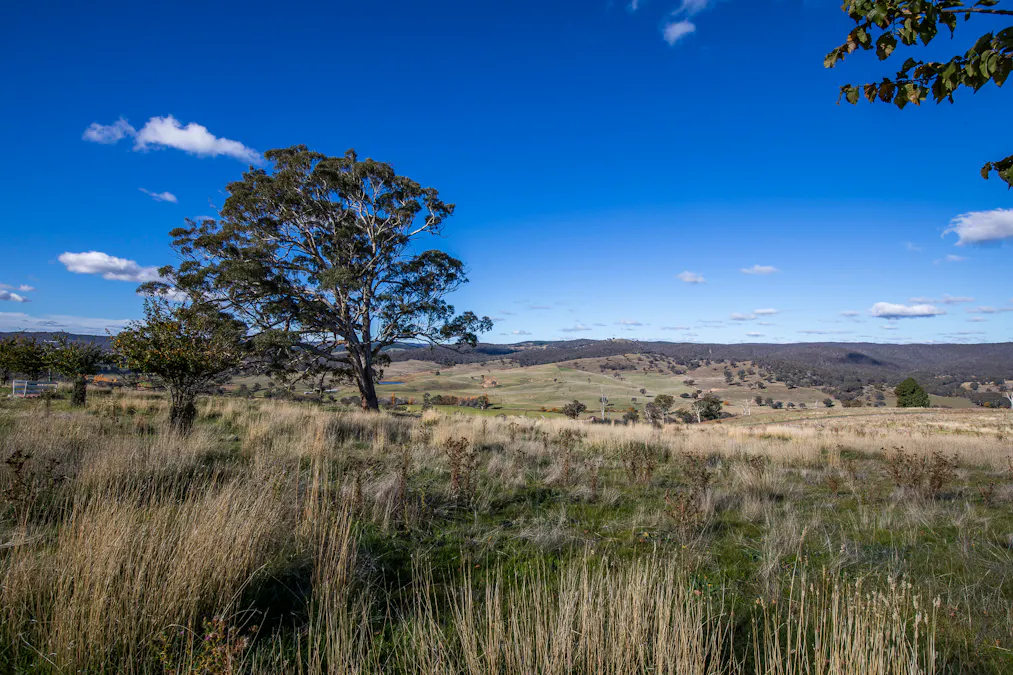 'The Grove' 635 Grove Creek Road, Trunkey Creek, NSW, 2795 - Image 26
