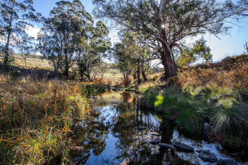 'The Grove' 635 Grove Creek Road, Trunkey Creek, NSW, 2795 - Image 18