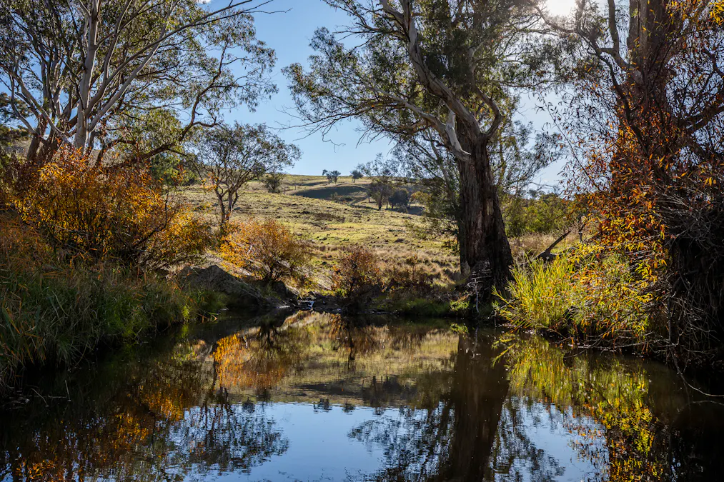 'The Grove' 635 Grove Creek Road, Trunkey Creek, NSW, 2795 - Image 23