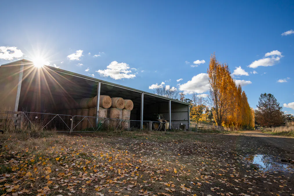 'The Grove' 635 Grove Creek Road, Trunkey Creek, NSW, 2795 - Image 24