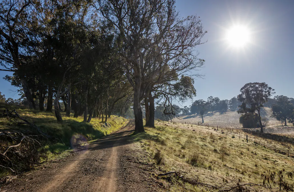 'The Grove' 635 Grove Creek Road, Trunkey Creek, NSW, 2795 - Image 28