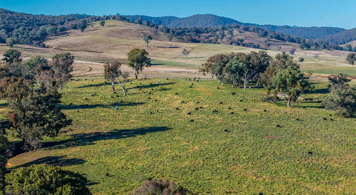 'The Grove' 635 Grove Creek Road, Trunkey Creek, NSW, 2795 - Image 12