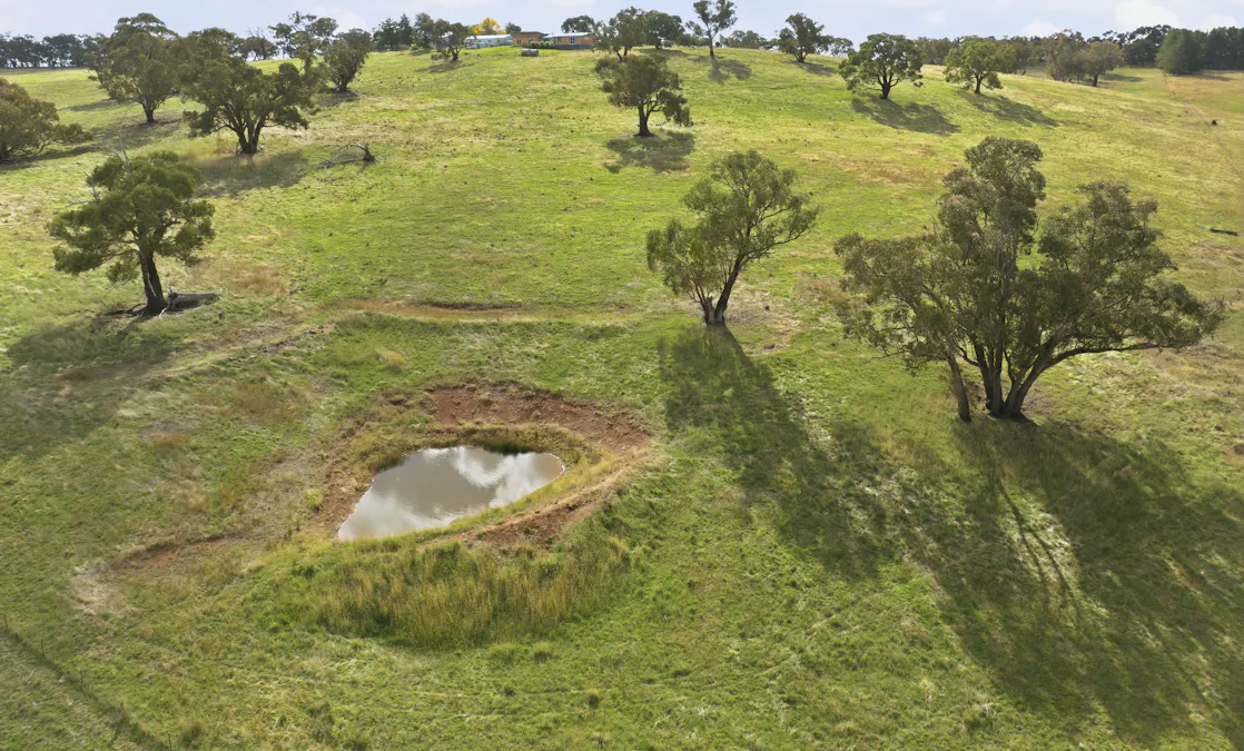 2653 Cargo Road, Cargo, NSW, 2800 - Image 13