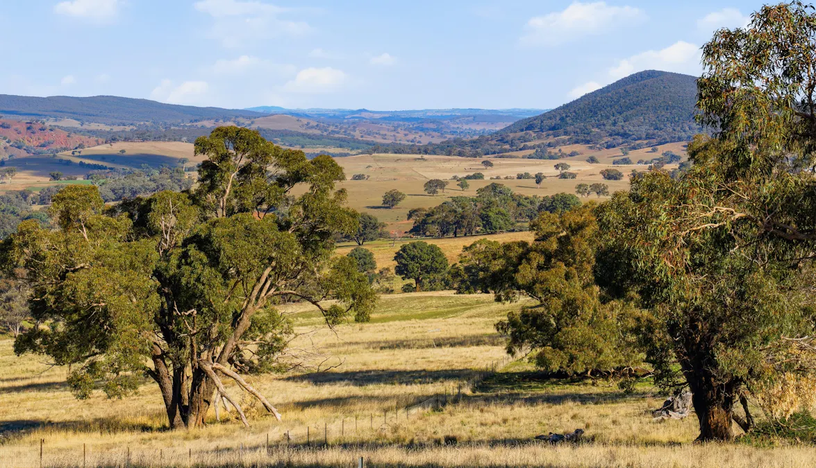 2653 Cargo Road, Cargo, NSW, 2800 - Image 19