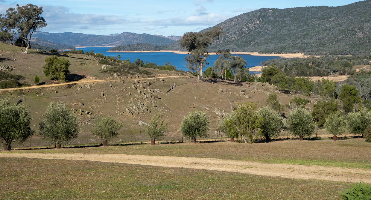 575 Oaky Creek Road, Wyangala, NSW, 2808 - Image 7