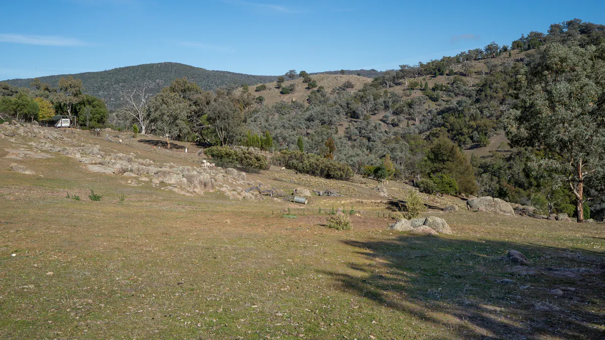 575 Oaky Creek Road, Wyangala, NSW, 2808 - Image 9