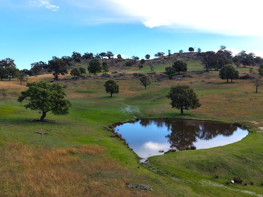 2656 Reg Hailstone Way, Wyangala, NSW, 2808 - Image 4