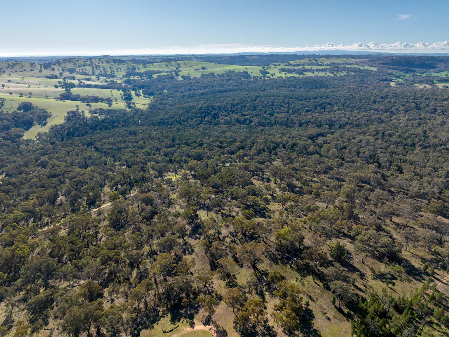 Lot 1, 244 Cobb Drive, Woodstock, NSW, 2793 - Image 2