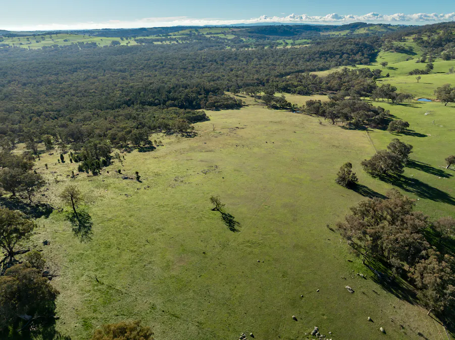 Lot 1, 244 Cobb Drive, Woodstock, NSW, 2793 - Image 5