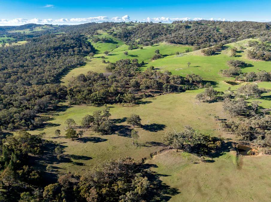 Lot 1, 244 Cobb Drive, Woodstock, NSW, 2793 - Image 9