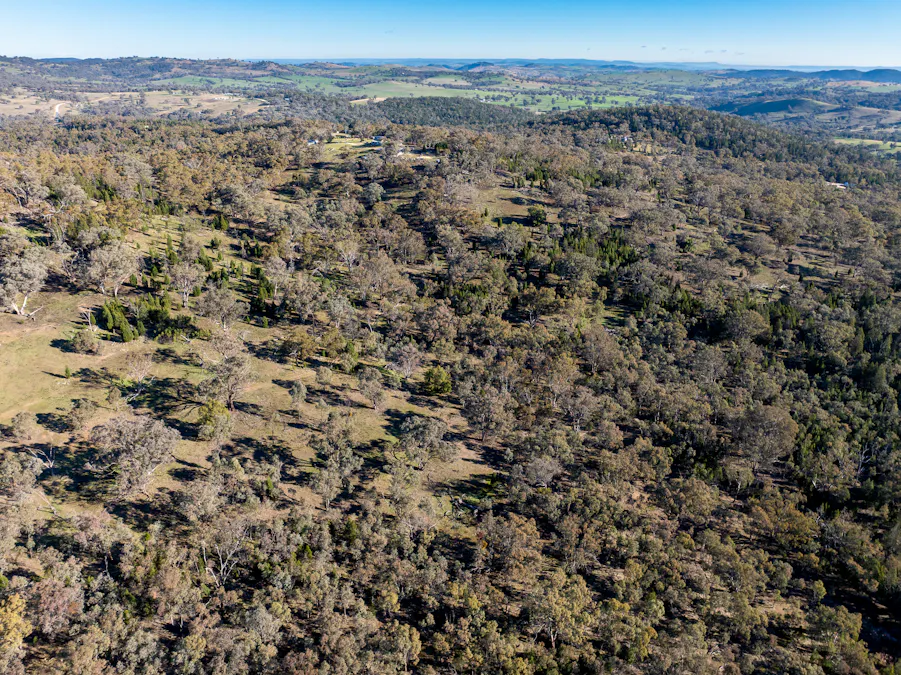 Lot 1, 244 Cobb Drive, Woodstock, NSW, 2793 - Image 12