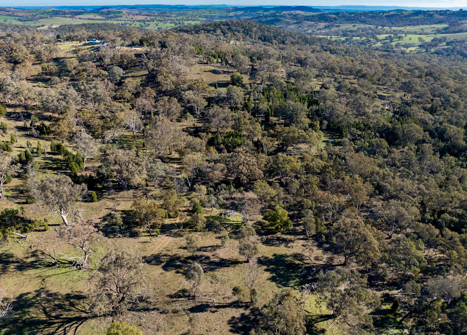 Lot 1, 244 Cobb Drive, Woodstock, NSW, 2793 - Image 13