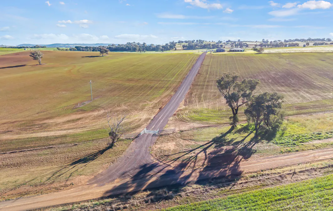 89 Lynchs Lane, Grenfell, NSW, 2810 - Image 17