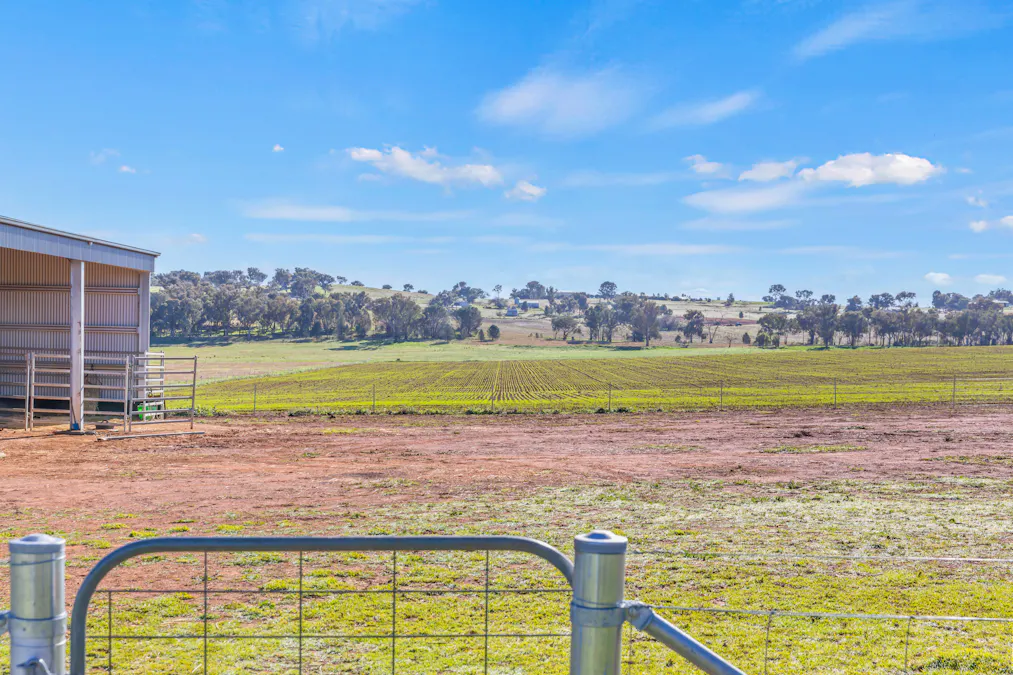 89 Lynchs Lane, Grenfell, NSW, 2810 - Image 26