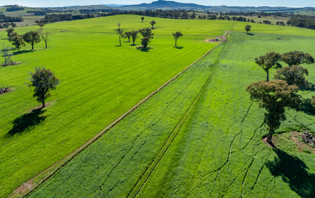 'Blairgowrie' 90 Sunset Hills Road, Neville, NSW, 2799 - Image 22