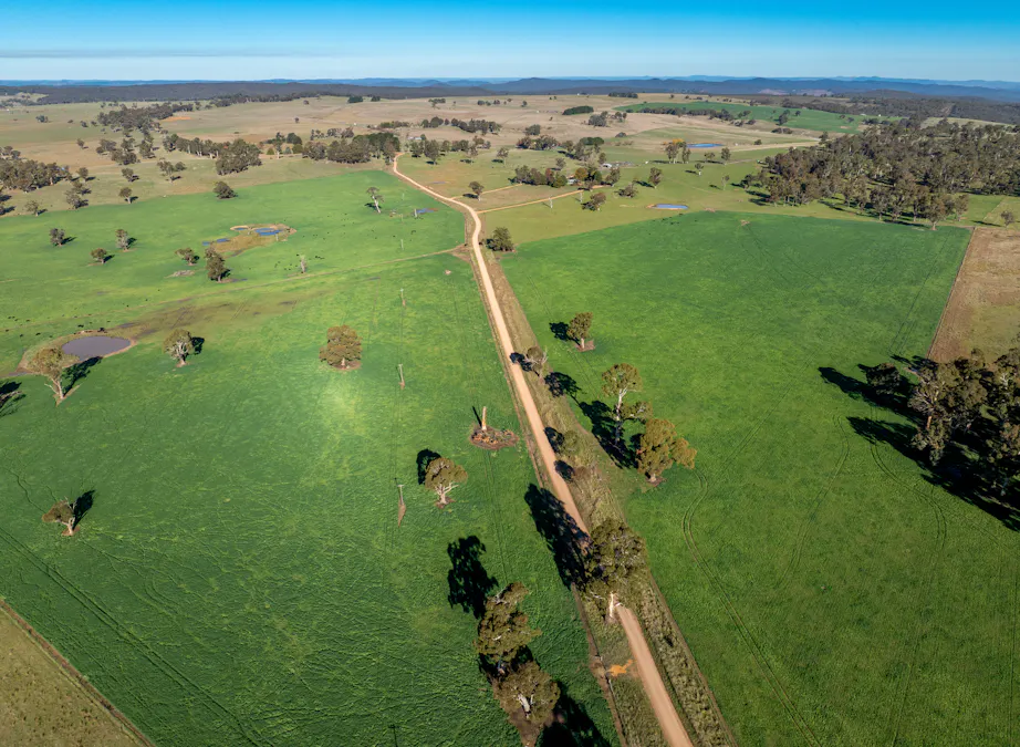 'Blairgowrie' 90 Sunset Hills Road, Neville, NSW, 2799 - Image 20