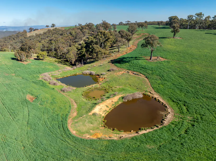 'Blairgowrie' 90 Sunset Hills Road, Neville, NSW, 2799 - Image 26