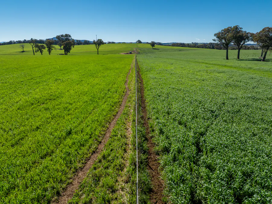 'Blairgowrie' 90 Sunset Hills Road, Neville, NSW, 2799 - Image 14