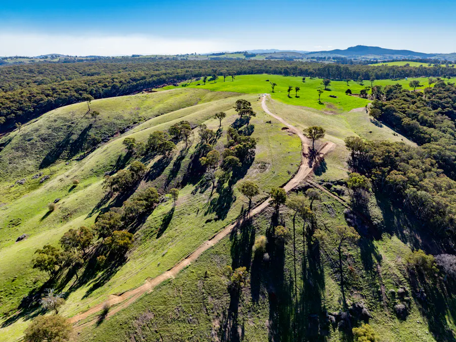 'Blairgowrie' 90 Sunset Hills Road, Neville, NSW, 2799 - Image 21