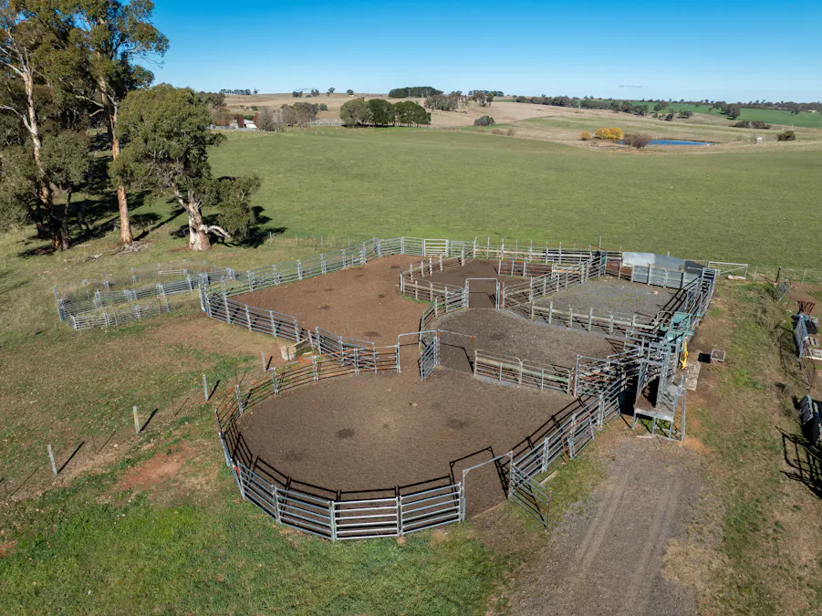 'Blairgowrie' 90 Sunset Hills Road, Neville, NSW, 2799 - Image 11