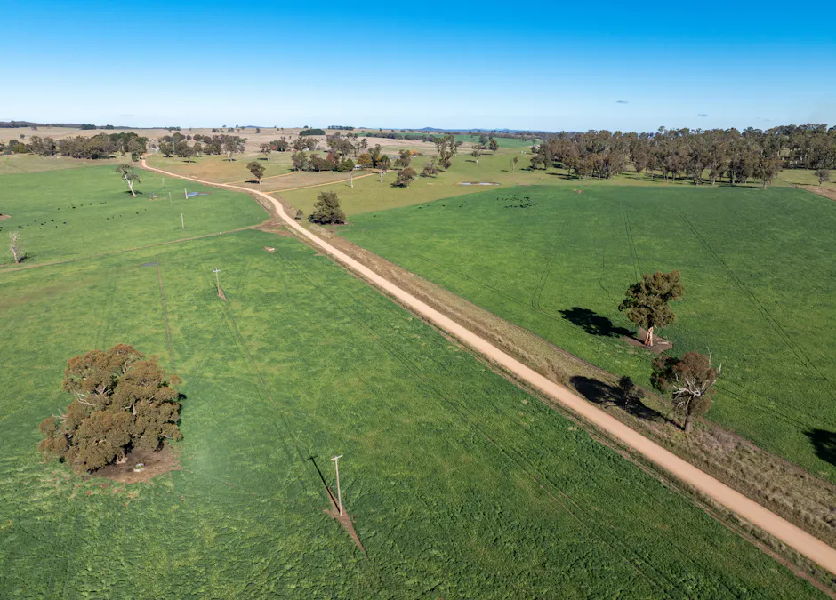 'Blairgowrie' 90 Sunset Hills Road, Neville, NSW, 2799 - Image 28