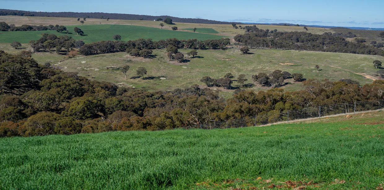 'Blairgowrie' 90 Sunset Hills Road, Neville, NSW, 2799 - Image 25