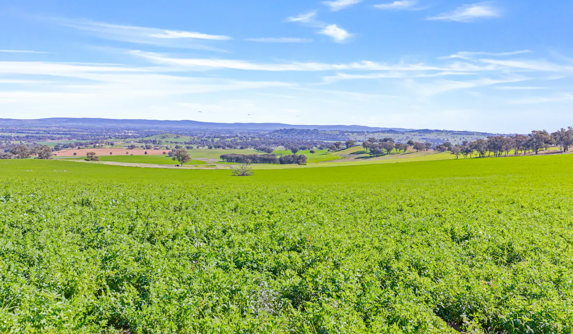 404 Kangaroo Flat Road, Cowra, NSW, 2794 - Image 2