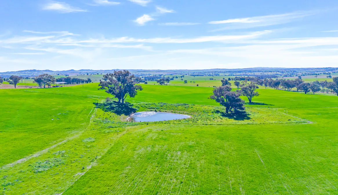 404 Kangaroo Flat Road, Cowra, NSW, 2794 - Image 3