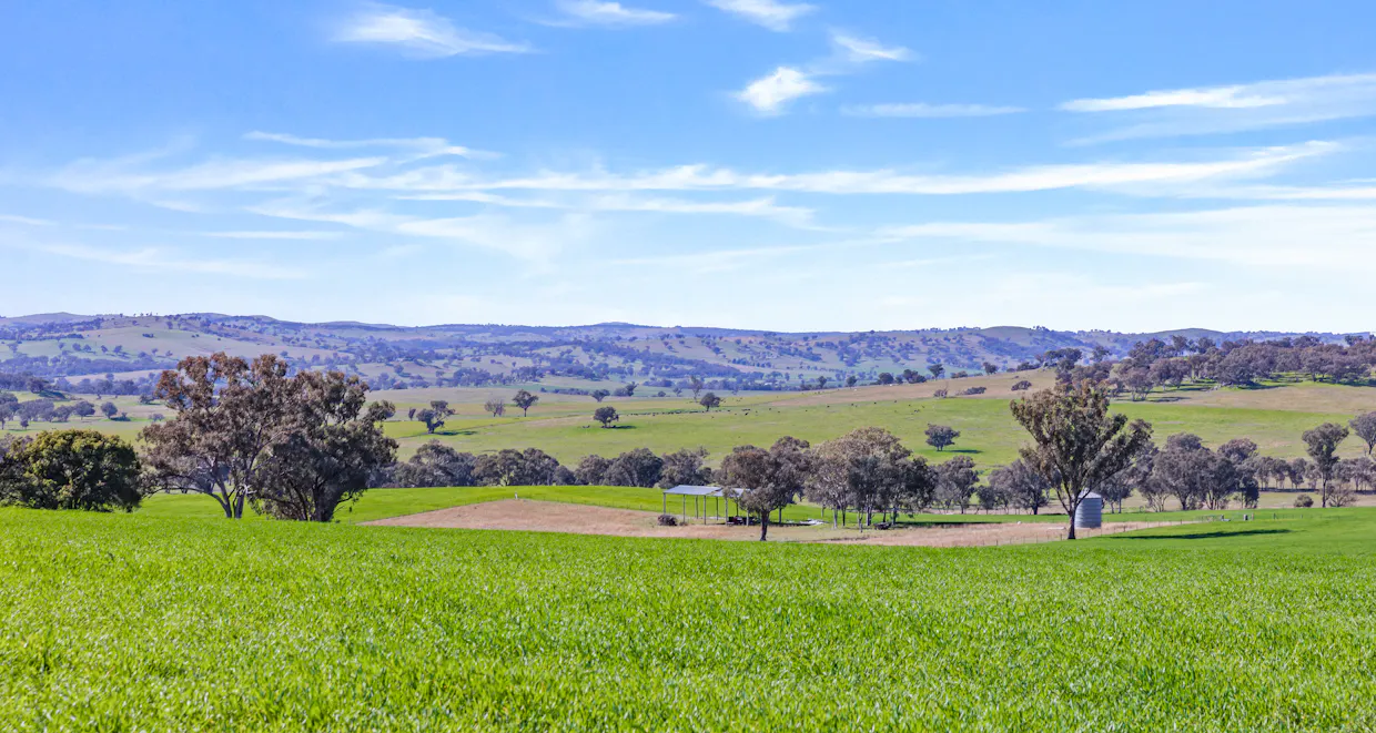 404 Kangaroo Flat Road, Cowra, NSW, 2794 - Image 4