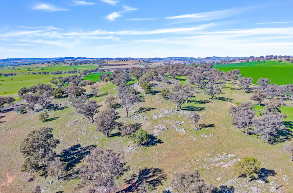 404 Kangaroo Flat Road, Cowra, NSW, 2794 - Image 6