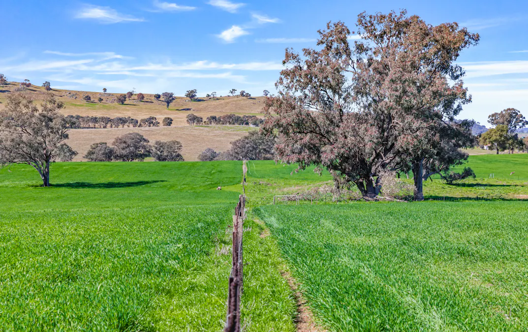 404 Kangaroo Flat Road, Cowra, NSW, 2794 - Image 7