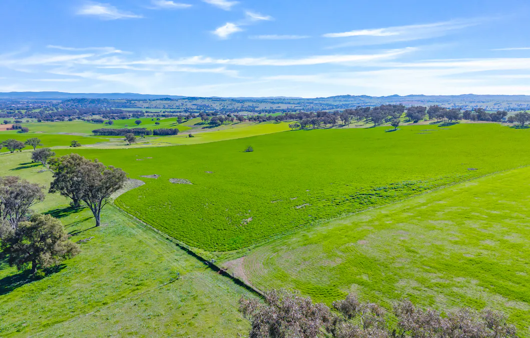 404 Kangaroo Flat Road, Cowra, NSW, 2794 - Image 8