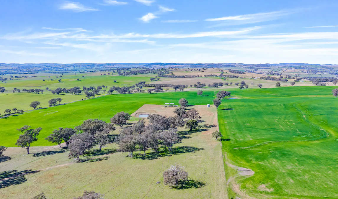 404 Kangaroo Flat Road, Cowra, NSW, 2794 - Image 9
