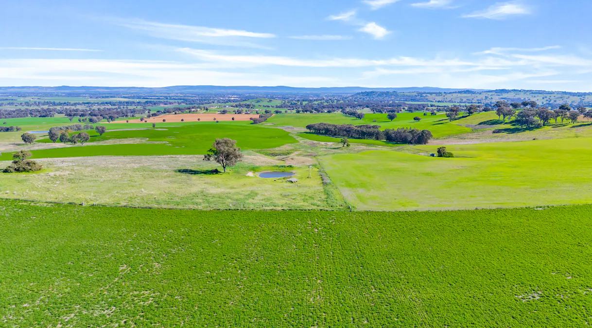 404 Kangaroo Flat Road, Cowra, NSW, 2794 - Image 10