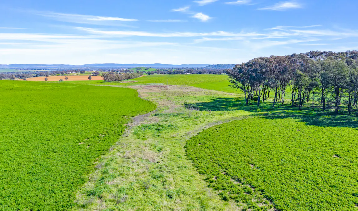 404 Kangaroo Flat Road, Cowra, NSW, 2794 - Image 12