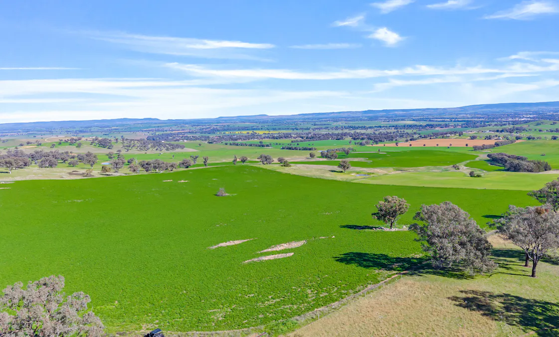 404 Kangaroo Flat Road, Cowra, NSW, 2794 - Image 13