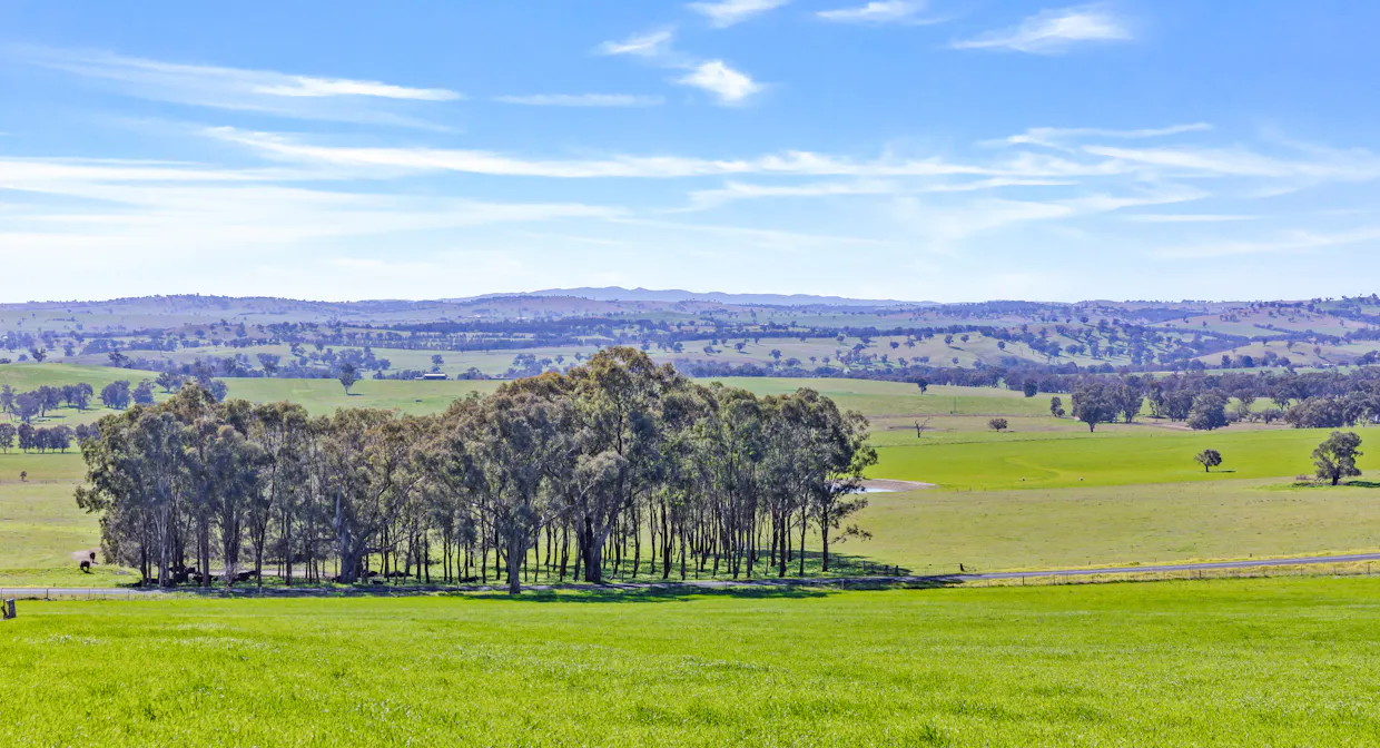 404 Kangaroo Flat Road, Cowra, NSW, 2794 - Image 14
