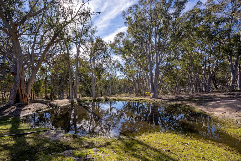 1271 Carlwood Road, O'connell, NSW, 2795 - Image 27