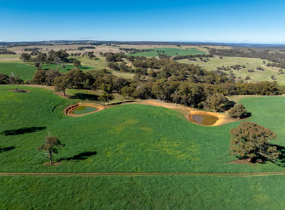 'Blairgowrie' 90 Sunset Hills Road, Neville, NSW, 2799 - Image 19
