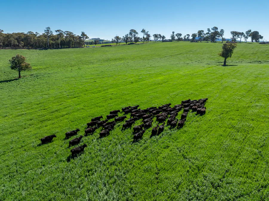 'Blairgowrie' 90 Sunset Hills Road, Neville, NSW, 2799 - Image 27