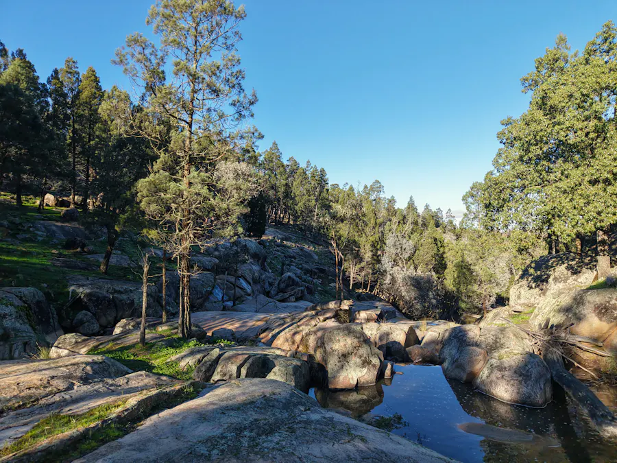 Lot 1, 244 Cobb Drive, Woodstock, NSW, 2793 - Image 6
