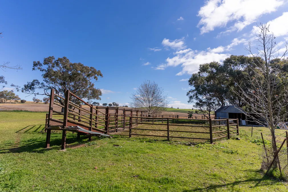 1629 Darbys Falls Road, Cowra, NSW, 2794 - Image 18
