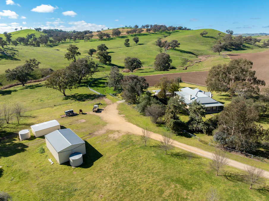 1629 Darbys Falls Road, Cowra, NSW, 2794 - Image 21
