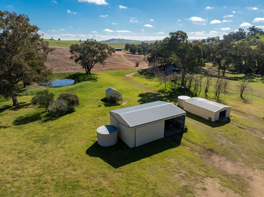 1629 Darbys Falls Road, Cowra, NSW, 2794 - Image 22