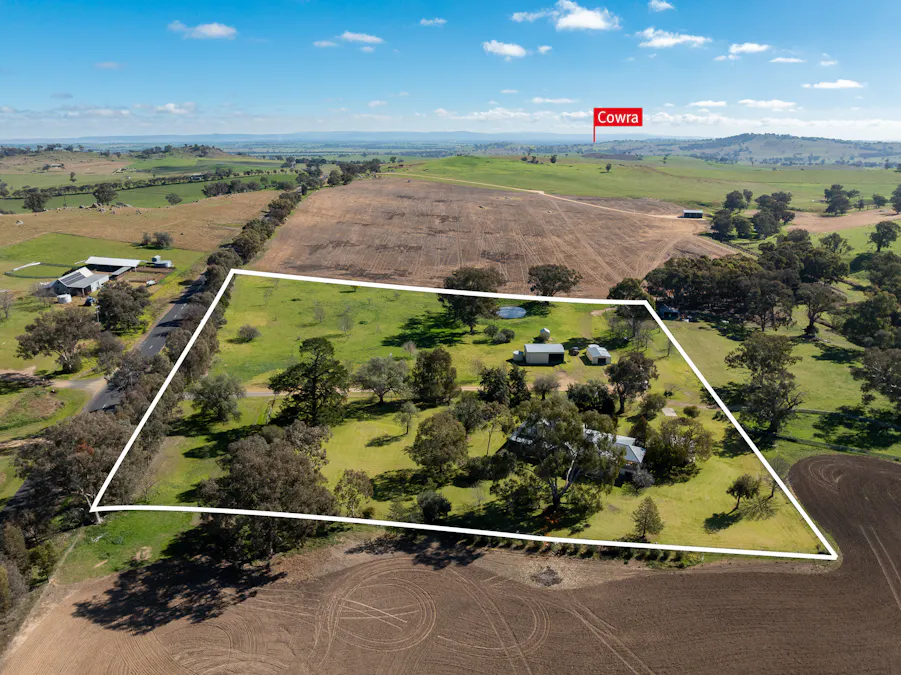 1629 Darbys Falls Road, Cowra, NSW, 2794 - Image 2
