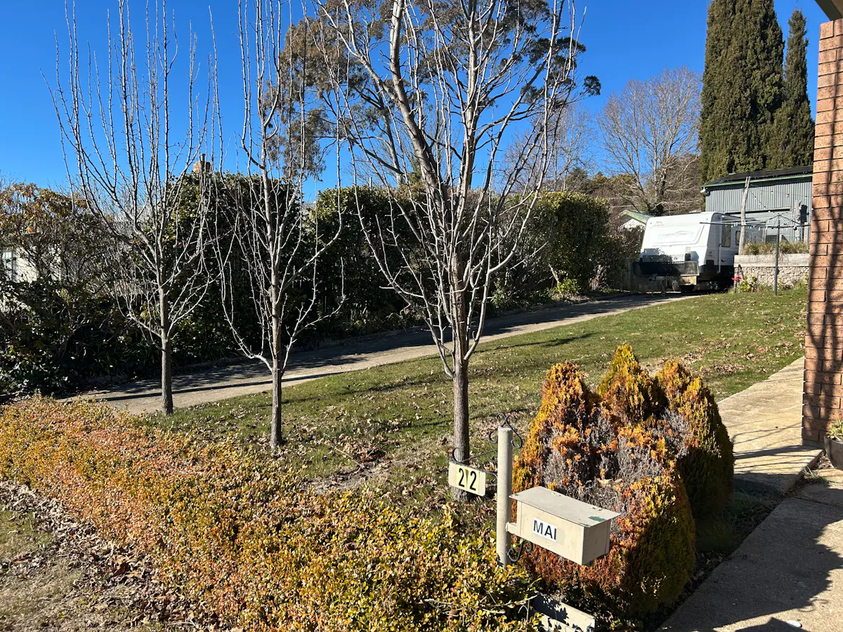 22 Albert Street — photo 11 of 12