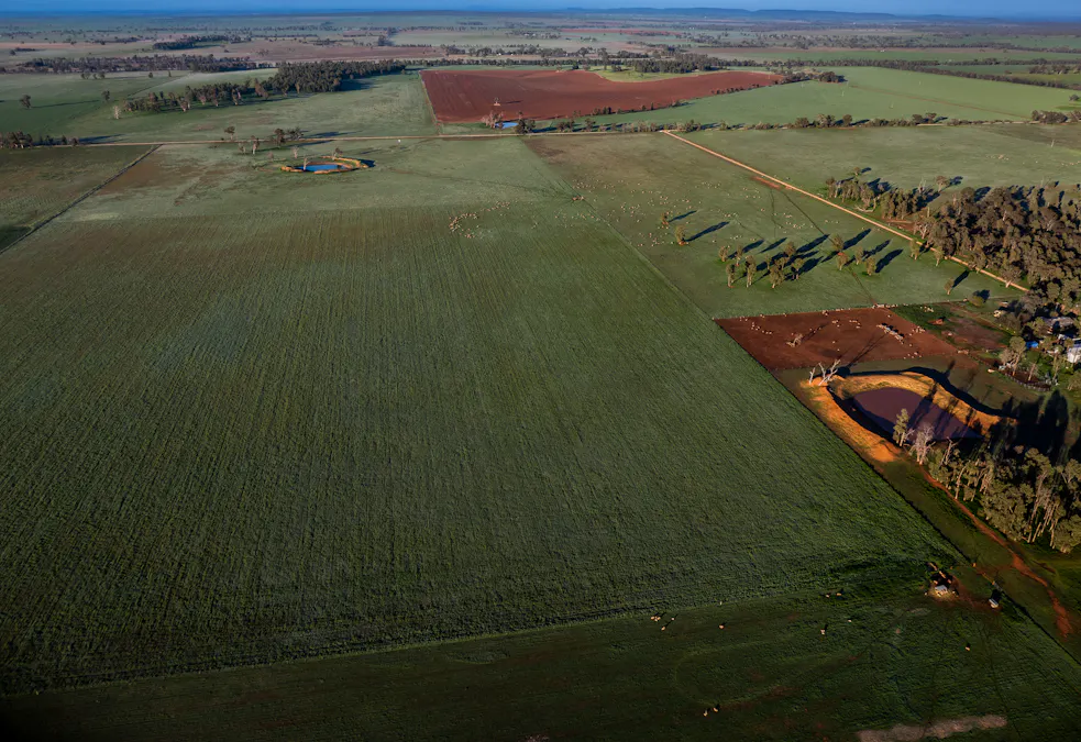 'Rockvale' 3166 Back Trundle Road, Cooks Myalls, NSW, 2870 - Image 1