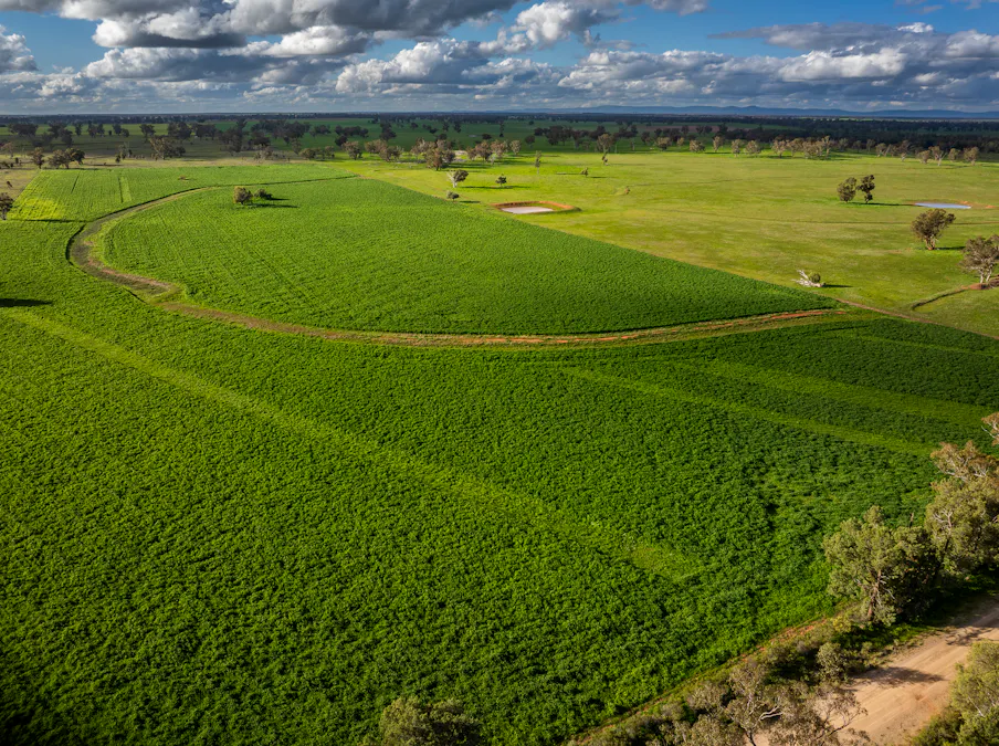 'Rockvale' 3166 Back Trundle Road, Cooks Myalls, NSW, 2870 - Image 4