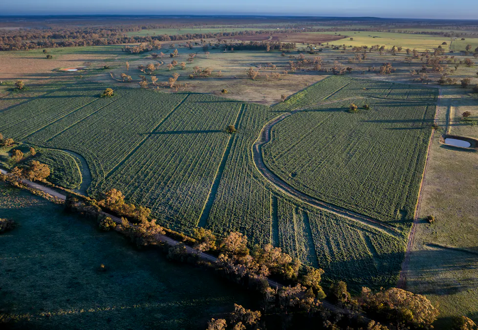 'Rockvale' 3166 Back Trundle Road, Cooks Myalls, NSW, 2870 - Image 7